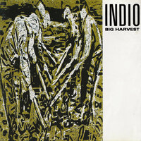 Life Lies Down - Indio