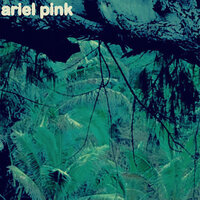 Hold Your Breath And Wait - Ariel Pink