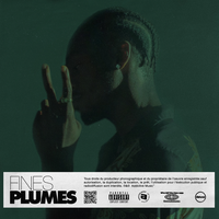 Questions - Fabe