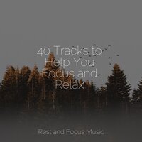 Keeping It Calm - Kings Of Nature, Yoga Music, Yoga Sounds