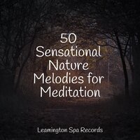 Heaven on the Keys - The Relaxation Principle, Spa, Reiki Tribe
