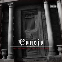Magia negra - Conejo