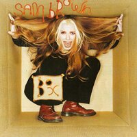 As the Crow Flies - Sam Brown