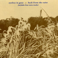 Flight Of Swallows - Eyeless In Gaza