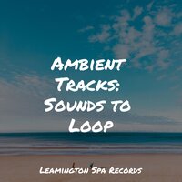 Relaxation - Massagem Guru, Reiki Tribe, Nature Sound Collection