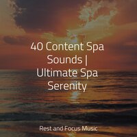 Water - Alpha Waves, Childrens Music, Ambient Forest