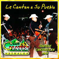 Irremediablemente - Los Cuates de Sinaloa