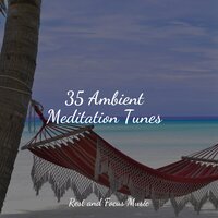 Spa Music - Yoga Workout Music, Yoga Soul, Ambiente