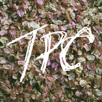 Simple Dude - Tokyo Police Club