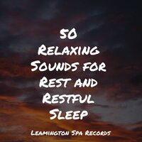 Lullaby - Nature Ambience, Tranquil Music Sounds of Nature, Internal Yoga