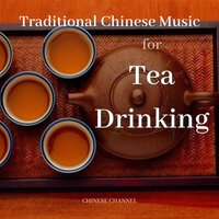 Chinese Traditional Erhu Music