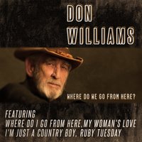 (Turn out the Lights) And Love Me Tonight - Don Williams