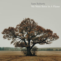 Paranoia - Sam Roberts