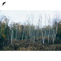 Haul - Christian Löffler, Mohna