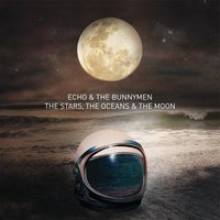 Bedbugs & Ballyhoo - Echo & the Bunnymen