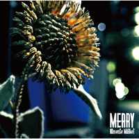 NOnsenSe MARkeT - Merry