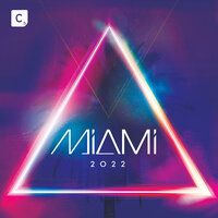 Shake It - Lee Cabrera, Mike Vale