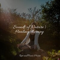 Paradise - Especialistas de Musica para Dormir, Massage Music, Lullaby Babies