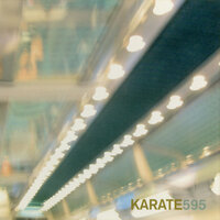 Caffeine Or Me - Karate