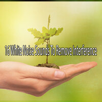 White Noise Therapy
