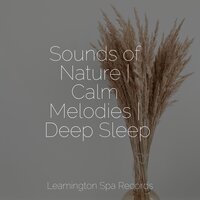 Relaxation - Yoga Workout Music, Sons da Natureza Relax, Sleep Sounds