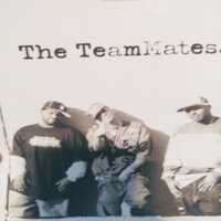 Stay - Team Mates, Wood, GLO
