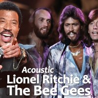 You Don’t Know What Its Like - Bee Gees