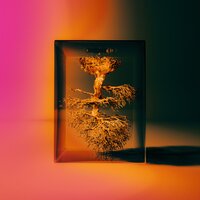 ALGORITHM - Bewhy