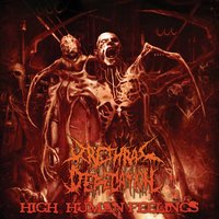 Urethral Defecation