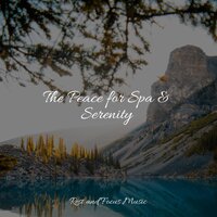 Mind Adventures - Namaste Healing Yoga, Classical Lullabies, Musica relajante