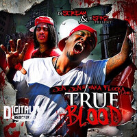 Hard N Da Paint - Waka Flocka Flame