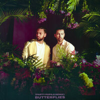 Butterflies - MAX, Ali Gatie, Party Pupils