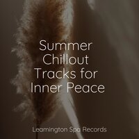 Calming Breeze - Study Concentration, Yoga Trainer, Sleep Sounds