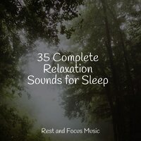 Deep Sleep - Relaxing Nature Music, Yoga Soul, White Noise Sound Garden