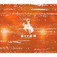 In Spite of This - Botch