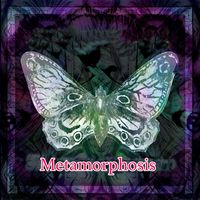 Shady Lady - Iron Butterfly