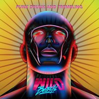 Punk Drunk & Trembling - Wild Beasts