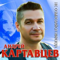 Упрямый взгляд - Андрей Картавцев