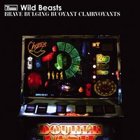 Mummy's Boy - Wild Beasts