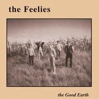 The Last Roundup - The Feelies