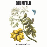 Der Apfelmann - Blumfeld