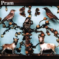 Play Of The Waves - Pram