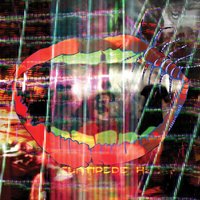 Applesauce - Animal Collective