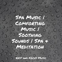 Paradise - Zen Meditate, Kinderlieder-Superstar, Study Zone