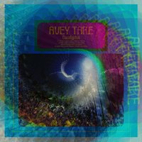 Ms. Secret - Avey Tare