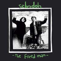 Slow To Learn - Sebadoh