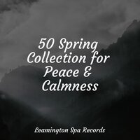 Gentle Sleep Music - Meditation, Relajación, Thunderstorms
