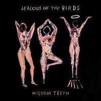 New York Has a Lump in Her Throat - Jealous Of The Birds
