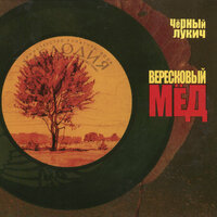 Неоконченное дело - Чёрный Лукич