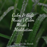 Gentle Sleep Music - Lluvia PQ, Water Spa, Asian Zen Spa Music Meditation